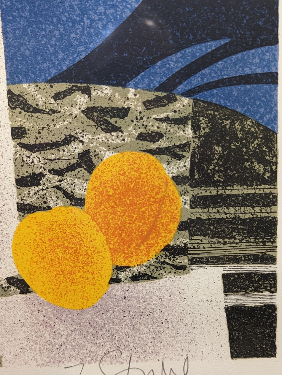 1960s Limited Edition "Flowers and Fruit" Lithograph | Signed & Numbered by Yves Ganne w/COA